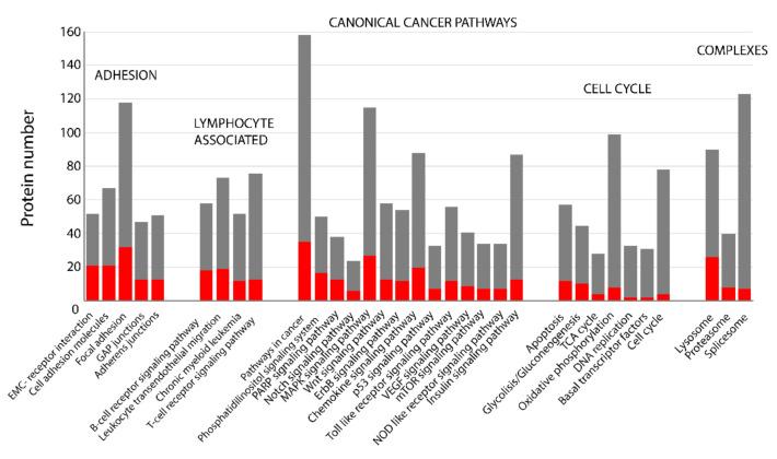https://cdn.ncbi.nlm.nih.gov/pmc/blobs/d014/7915278/222bb28fc92a/cancers-13-00630-g003.jpg