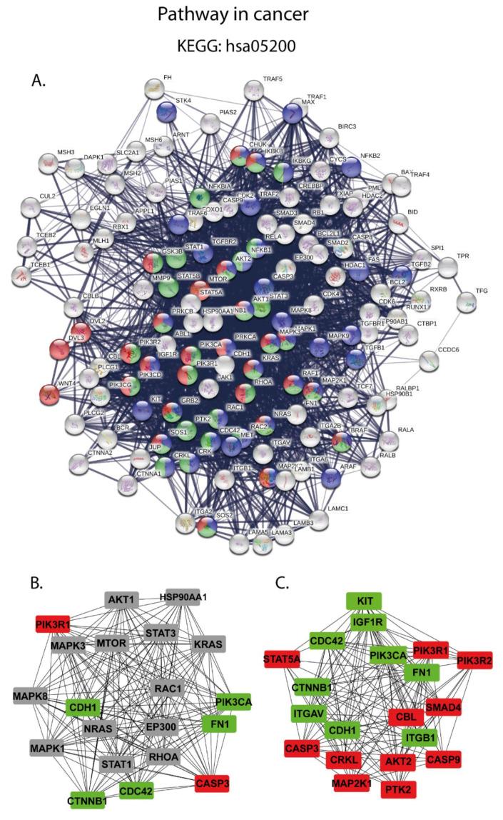 https://cdn.ncbi.nlm.nih.gov/pmc/blobs/d014/7915278/f7e4292a9008/cancers-13-00630-g005.jpg