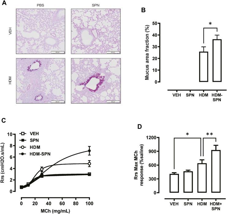 https://cdn.ncbi.nlm.nih.gov/pmc/blobs/d017/8902390/eaa1f948c009/fphar-13-835848-g006.jpg