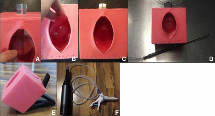 https://cdn.ncbi.nlm.nih.gov/pmc/blobs/d017/8918126/5af6a6fe3b28/404_2021_6209_Fig5_HTML.jpg