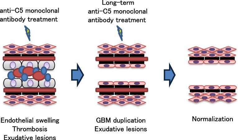 https://cdn.ncbi.nlm.nih.gov/pmc/blobs/d018/11247795/4d26ec23107c/12882_2024_3662_Fig3_HTML.jpg