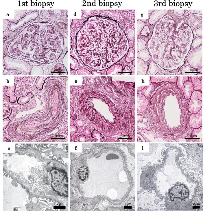 https://cdn.ncbi.nlm.nih.gov/pmc/blobs/d018/11247795/a9b013f60fb5/12882_2024_3662_Fig2_HTML.jpg