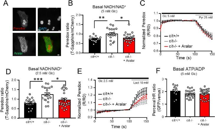 https://cdn.ncbi.nlm.nih.gov/pmc/blobs/d01c/10031141/b470566ba30f/gr2.jpg
