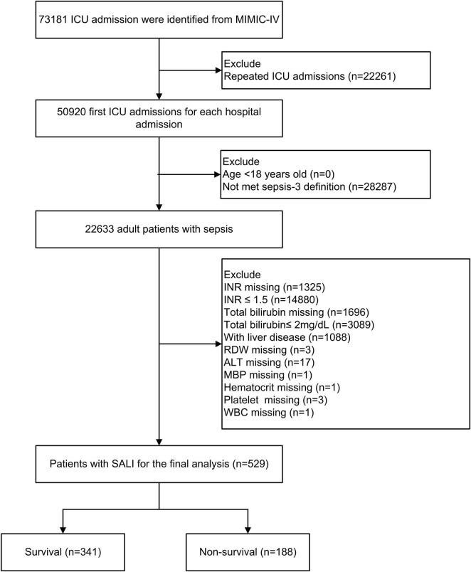 https://cdn.ncbi.nlm.nih.gov/pmc/blobs/d01c/11688371/ff714f3f52be/fmed-11-1510997-g001.jpg
