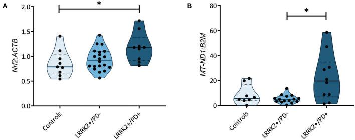 https://cdn.ncbi.nlm.nih.gov/pmc/blobs/d01d/7477385/6eabfe56917c/fneur-11-00881-g0002.jpg
