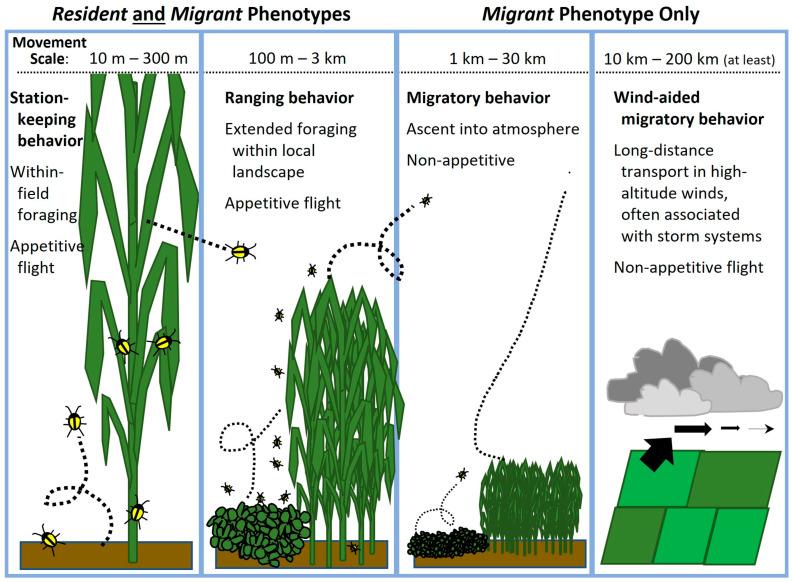 https://cdn.ncbi.nlm.nih.gov/pmc/blobs/d01e/10744206/767834762a94/insects-14-00922-g002.jpg