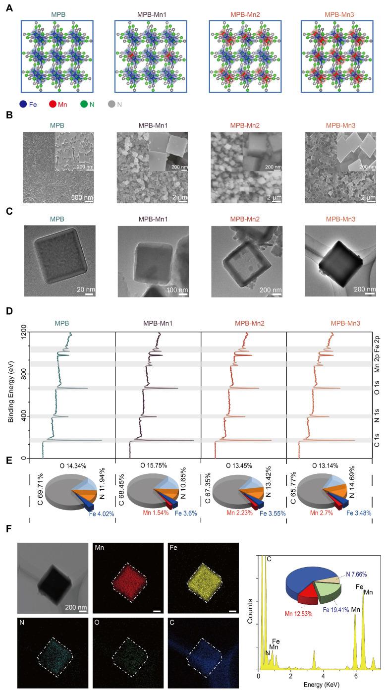 https://cdn.ncbi.nlm.nih.gov/pmc/blobs/d01e/12203817/1510c1699372/thnov15p6957g002.jpg