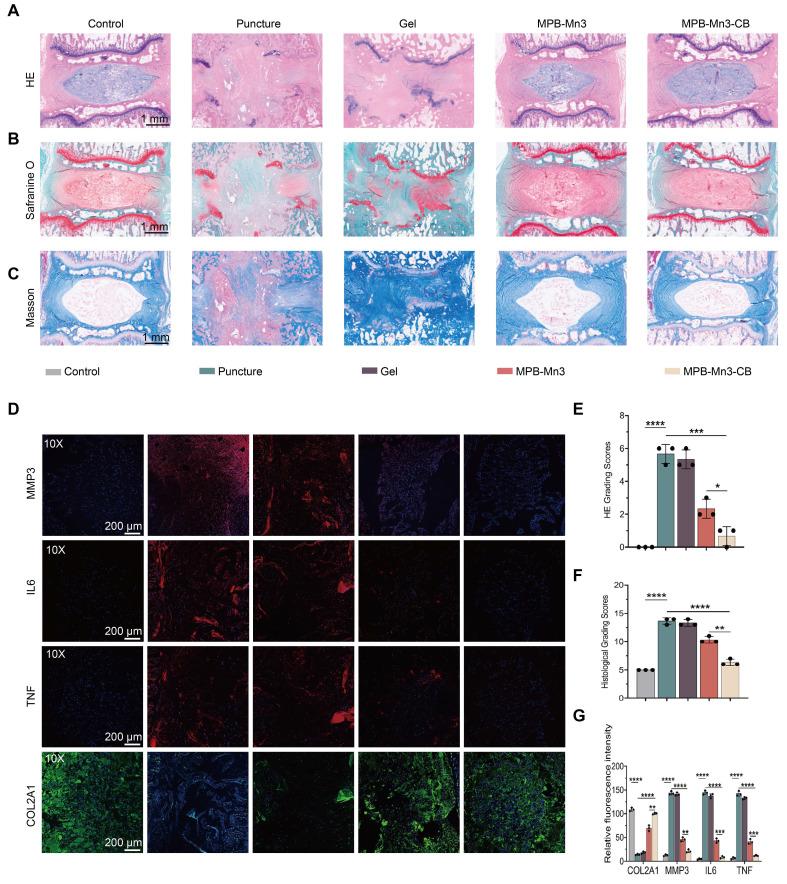 https://cdn.ncbi.nlm.nih.gov/pmc/blobs/d01e/12203817/19a3562ed297/thnov15p6957g010.jpg