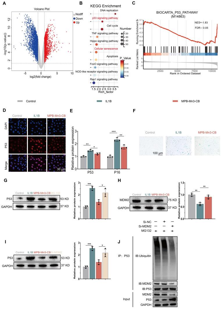 https://cdn.ncbi.nlm.nih.gov/pmc/blobs/d01e/12203817/90f5a0a375f7/thnov15p6957g008.jpg