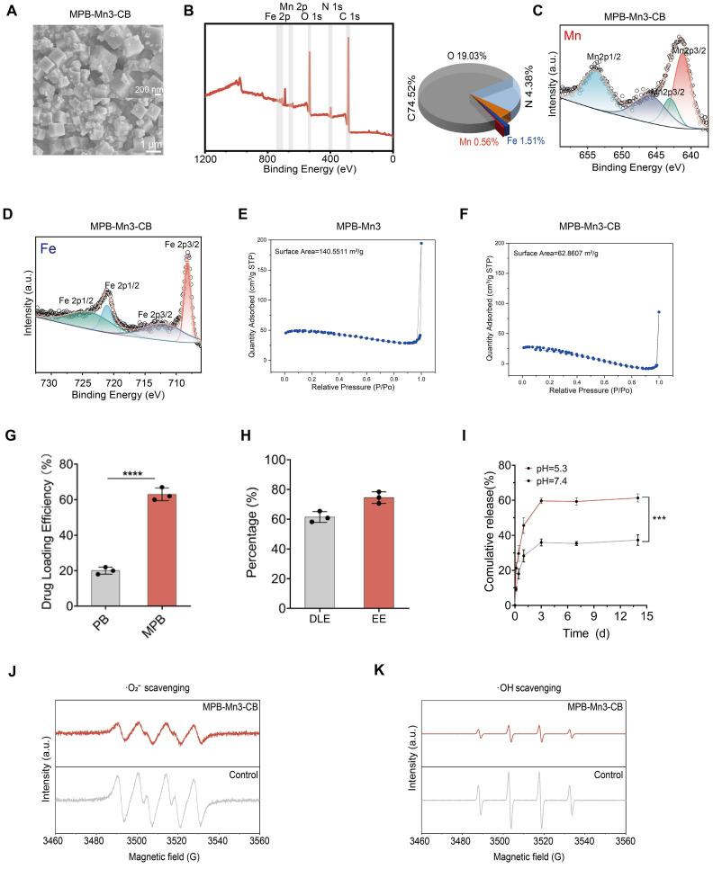 https://cdn.ncbi.nlm.nih.gov/pmc/blobs/d01e/12203817/a117f29f8de7/thnov15p6957g005.jpg
