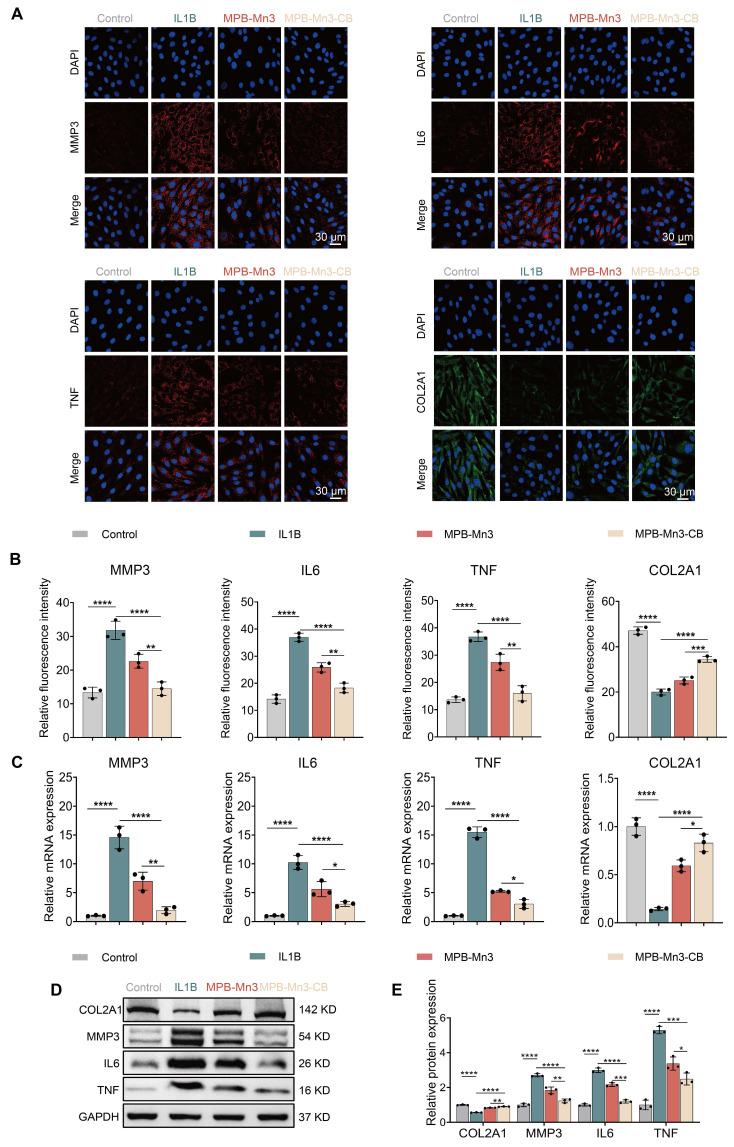 https://cdn.ncbi.nlm.nih.gov/pmc/blobs/d01e/12203817/f08b273c0f4f/thnov15p6957g007.jpg