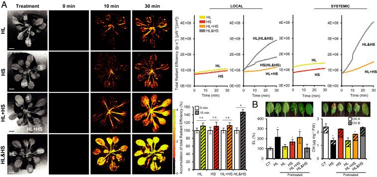 https://cdn.ncbi.nlm.nih.gov/pmc/blobs/d01e/7306788/1203ad90243f/pnas.2005077117fig08.jpg