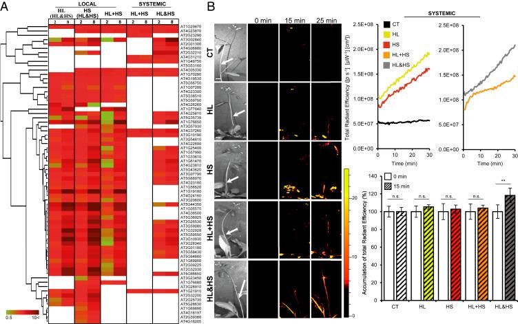 https://cdn.ncbi.nlm.nih.gov/pmc/blobs/d01e/7306788/c022bfdfd819/pnas.2005077117fig06.jpg