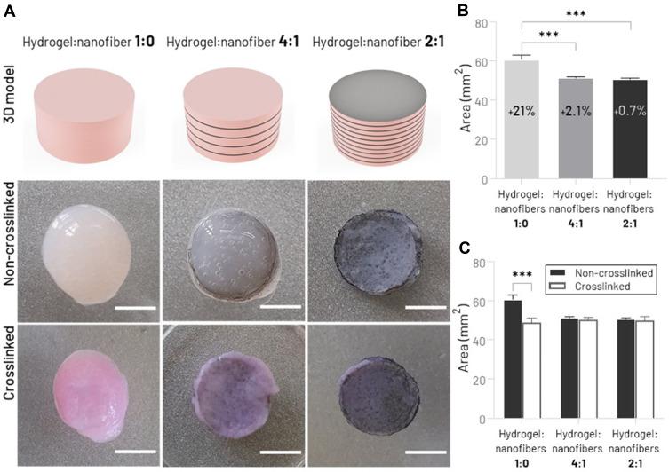 https://cdn.ncbi.nlm.nih.gov/pmc/blobs/d01e/8932947/4de9afeed4a5/IJN-17-1111-g0003.jpg