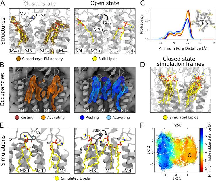https://cdn.ncbi.nlm.nih.gov/pmc/blobs/d01f/10945520/0114b2cb1d7b/elife-86016-fig4.jpg