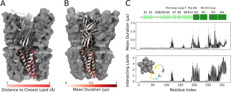 https://cdn.ncbi.nlm.nih.gov/pmc/blobs/d01f/10945520/2307e18e40df/elife-86016-fig2.jpg