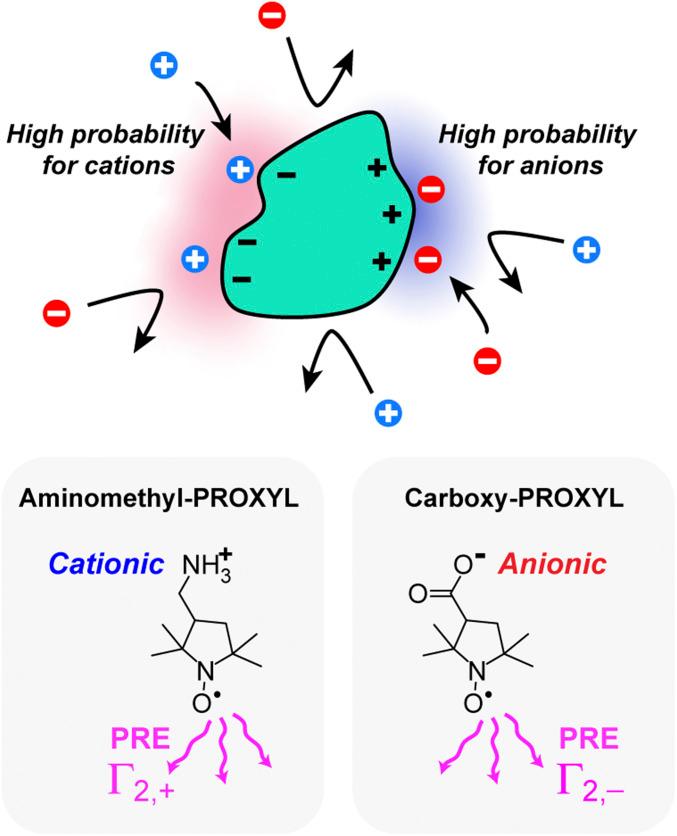 https://cdn.ncbi.nlm.nih.gov/pmc/blobs/d021/8237567/2a5fe619a470/pnas.2104020118fig01.jpg