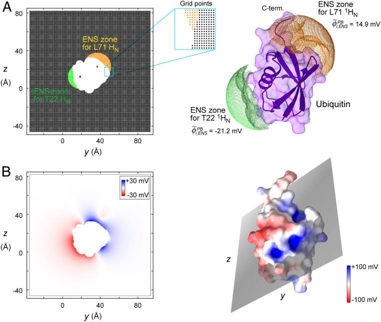 https://cdn.ncbi.nlm.nih.gov/pmc/blobs/d021/8237567/4ba2ca414046/pnas.2104020118fig02.jpg