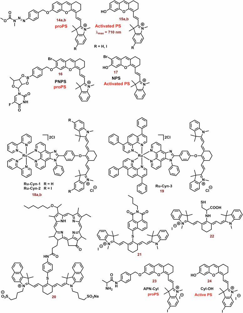 https://cdn.ncbi.nlm.nih.gov/pmc/blobs/d022/11322665/0b11a61730a0/42004_2024_1256_Fig6_HTML.jpg