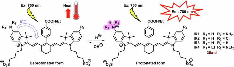 https://cdn.ncbi.nlm.nih.gov/pmc/blobs/d022/11322665/3882d8dce199/42004_2024_1256_Fig14_HTML.jpg