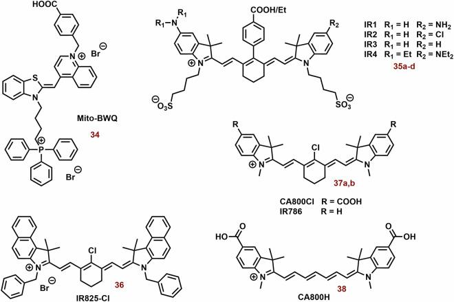 https://cdn.ncbi.nlm.nih.gov/pmc/blobs/d022/11322665/3f9f039fcb28/42004_2024_1256_Fig13_HTML.jpg