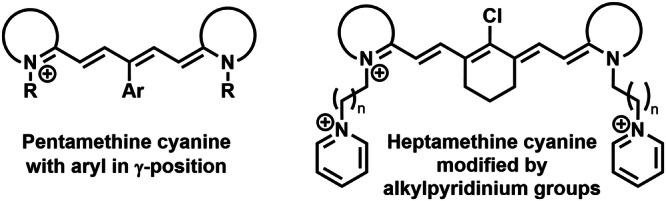 https://cdn.ncbi.nlm.nih.gov/pmc/blobs/d022/11322665/7c894308d1b6/42004_2024_1256_Fig4_HTML.jpg