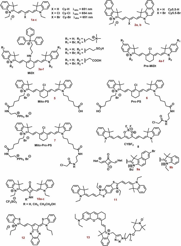 https://cdn.ncbi.nlm.nih.gov/pmc/blobs/d022/11322665/b2e0c8d8d03d/42004_2024_1256_Fig5_HTML.jpg