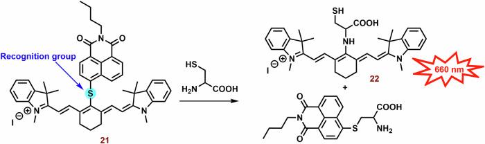 https://cdn.ncbi.nlm.nih.gov/pmc/blobs/d022/11322665/ca3e3e189d01/42004_2024_1256_Fig9_HTML.jpg