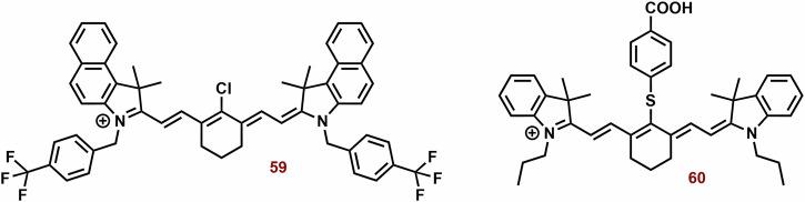 https://cdn.ncbi.nlm.nih.gov/pmc/blobs/d022/11322665/cfa0563f2df2/42004_2024_1256_Fig22_HTML.jpg