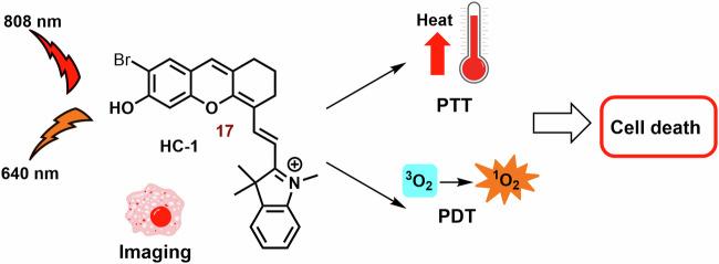 https://cdn.ncbi.nlm.nih.gov/pmc/blobs/d022/11322665/d0b1cfaec5a8/42004_2024_1256_Fig16_HTML.jpg