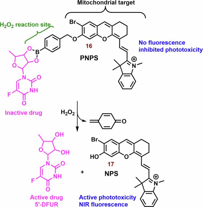 https://cdn.ncbi.nlm.nih.gov/pmc/blobs/d022/11322665/f1d0b5e2a110/42004_2024_1256_Fig8_HTML.jpg
