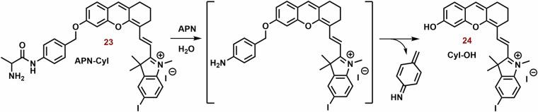 https://cdn.ncbi.nlm.nih.gov/pmc/blobs/d022/11322665/f4fa09ed7983/42004_2024_1256_Fig10_HTML.jpg
