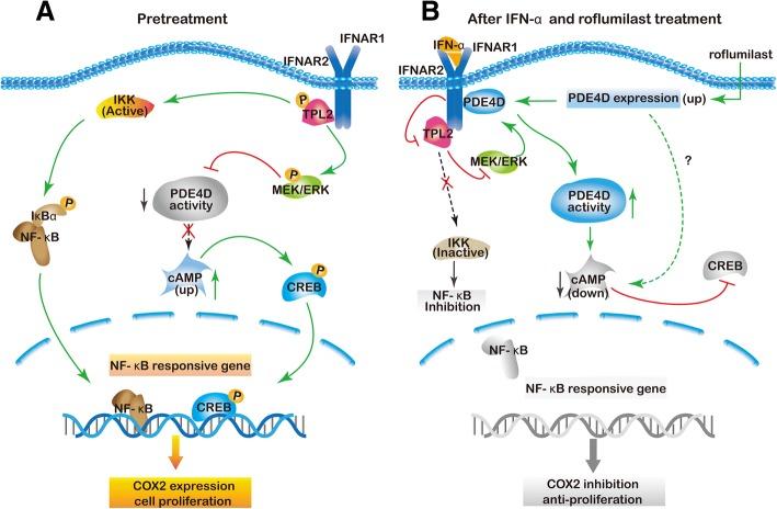 https://cdn.ncbi.nlm.nih.gov/pmc/blobs/d022/6260752/f297993519ae/13046_2018_971_Fig6_HTML.jpg