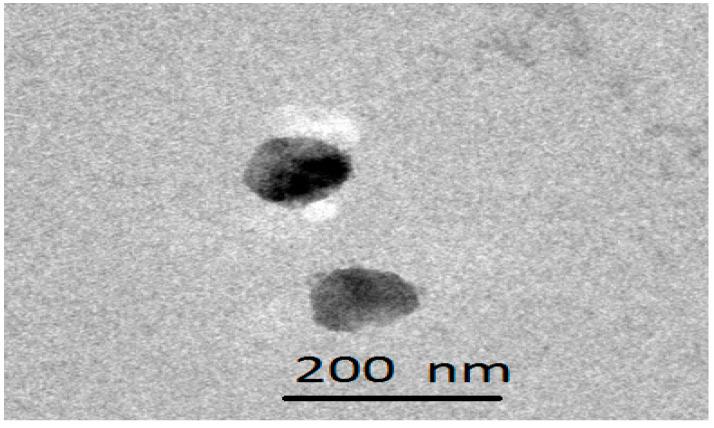 https://cdn.ncbi.nlm.nih.gov/pmc/blobs/d026/10454053/b7d39d90b9f9/gels-09-00634-g002.jpg