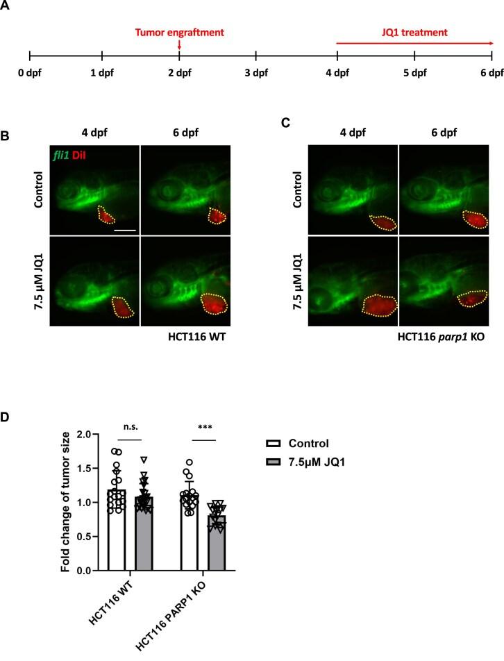 https://cdn.ncbi.nlm.nih.gov/pmc/blobs/d026/12041917/019b23105daa/zcaf013fig5.jpg