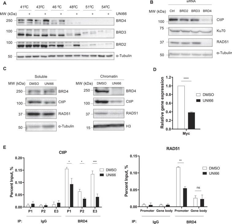 https://cdn.ncbi.nlm.nih.gov/pmc/blobs/d026/12041917/399399da2470/zcaf013fig4.jpg