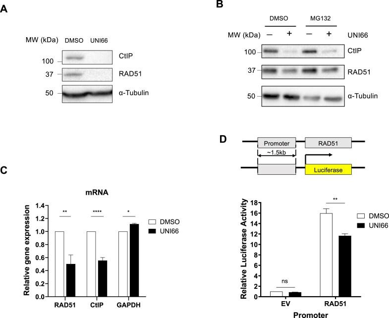https://cdn.ncbi.nlm.nih.gov/pmc/blobs/d026/12041917/4c1bbe230e6b/zcaf013fig3.jpg