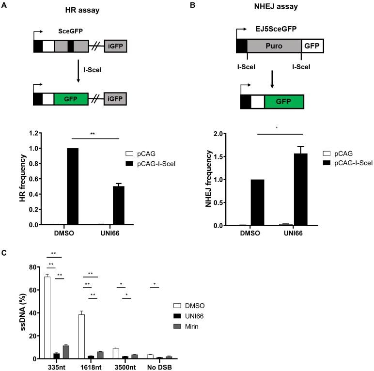 https://cdn.ncbi.nlm.nih.gov/pmc/blobs/d026/12041917/d221424e0ad9/zcaf013fig2.jpg
