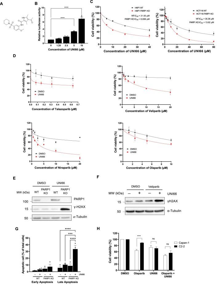 https://cdn.ncbi.nlm.nih.gov/pmc/blobs/d026/12041917/f5886cb0085f/zcaf013fig1.jpg