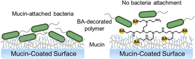 https://cdn.ncbi.nlm.nih.gov/pmc/blobs/d029/11969427/4d1767411829/am4c20874_0001.jpg