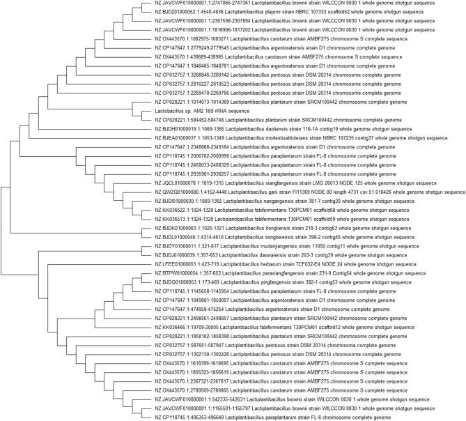 https://cdn.ncbi.nlm.nih.gov/pmc/blobs/d02a/12181349/049b3c2cb7cf/41598_2025_6103_Fig2_HTML.jpg