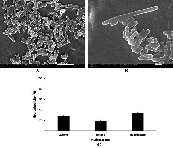 https://cdn.ncbi.nlm.nih.gov/pmc/blobs/d02a/12181349/9045244bdf15/41598_2025_6103_Fig3_HTML.jpg