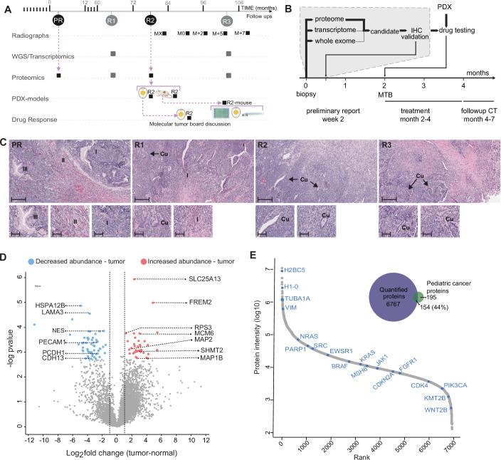 https://cdn.ncbi.nlm.nih.gov/pmc/blobs/d02c/11982353/53dcf37a38a8/44321_2025_212_Fig1_HTML.jpg