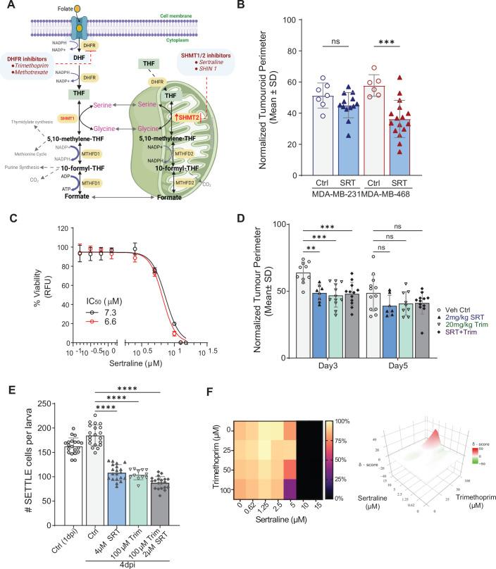 https://cdn.ncbi.nlm.nih.gov/pmc/blobs/d02c/11982353/85b98b8d8163/44321_2025_212_Fig6_ESM.jpg