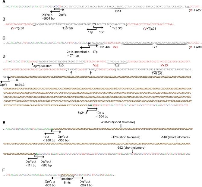 https://cdn.ncbi.nlm.nih.gov/pmc/blobs/d02d/2847243/d71815315b8e/gkp1183f2.jpg