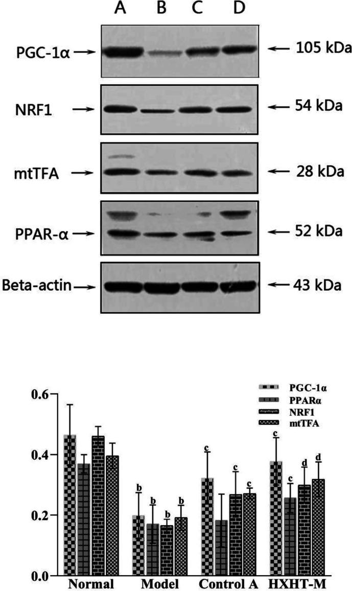 https://cdn.ncbi.nlm.nih.gov/pmc/blobs/d02d/7522555/2b319f8ded84/fphar-11-546825-g017.jpg