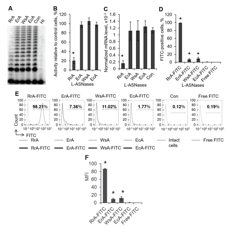 https://cdn.ncbi.nlm.nih.gov/pmc/blobs/d02d/7650658/ad9b75063b0d/pharmaceuticals-13-00286-g001.jpg