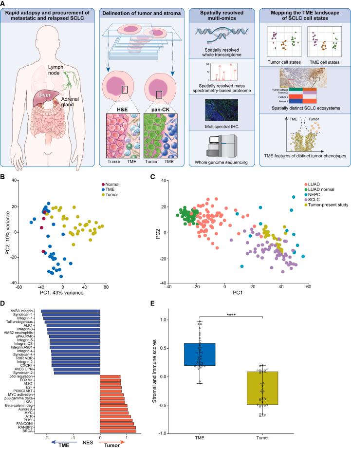 https://cdn.ncbi.nlm.nih.gov/pmc/blobs/d031/11228806/69cbe323a529/gr1.jpg