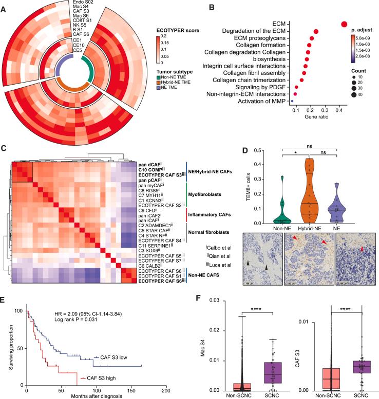 https://cdn.ncbi.nlm.nih.gov/pmc/blobs/d031/11228806/8bc2d2be5c09/gr4.jpg