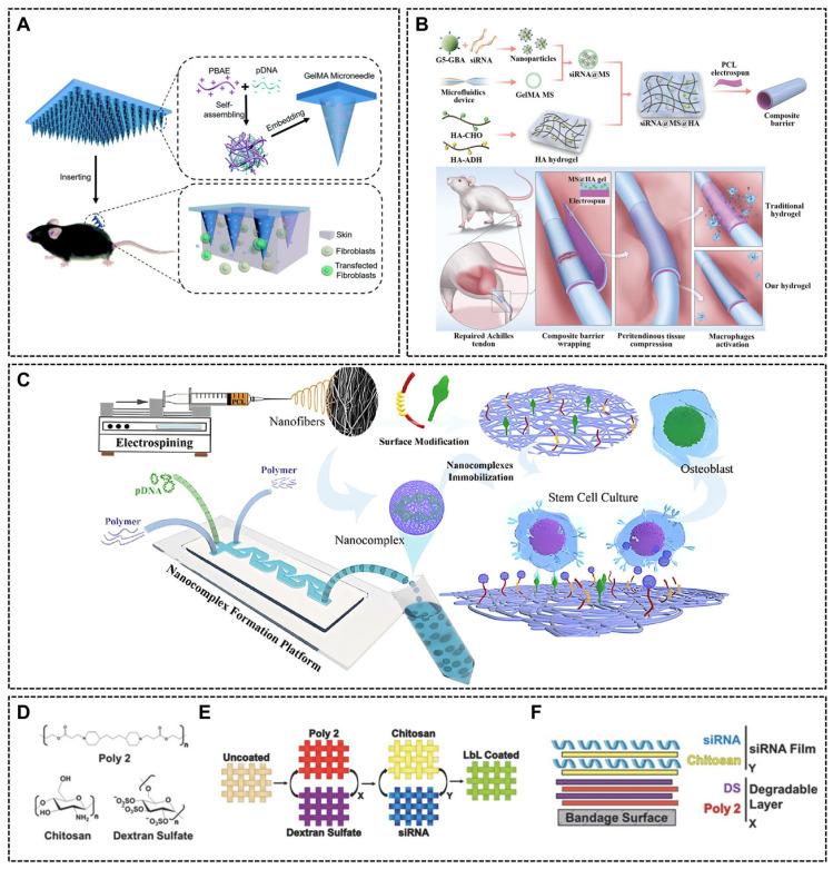 https://cdn.ncbi.nlm.nih.gov/pmc/blobs/d031/12346993/e3f1f4cfa658/ijms-26-07384-g010.jpg
